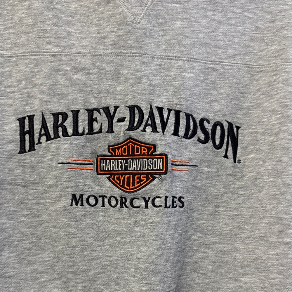 Harley-Davidson Classic Gray Men's Hoodie - Picture 2 of 4